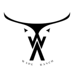 Monochrome Modern Technology Black Logo